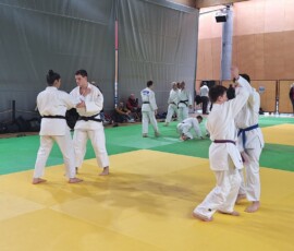 Coupe Île-de-France kata minimes