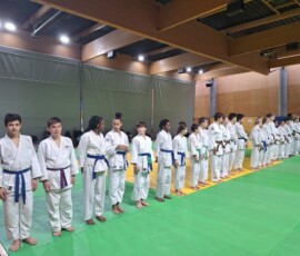 Coupe Île-de-France kata minimes