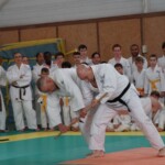 Fête du club de fin d'année AS Vauréal judo