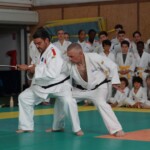 Fête du club de fin d'année AS Vauréal judo