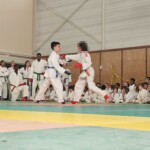 Fête du club de fin d'année AS Vauréal judo