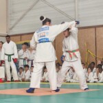Fête du club de fin d'année AS Vauréal judo