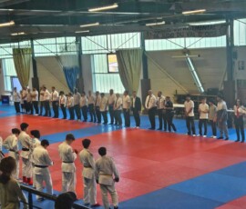 Open jujitsu du Val d'Oise