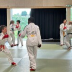 Stage jujitsu Cormeilles-en-Paris, avec Percy Kunsa et Patricia Floquet
