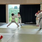 Stage jujitsu Cormeilles-en-Paris, avec Percy Kunsa et Patricia Floquet